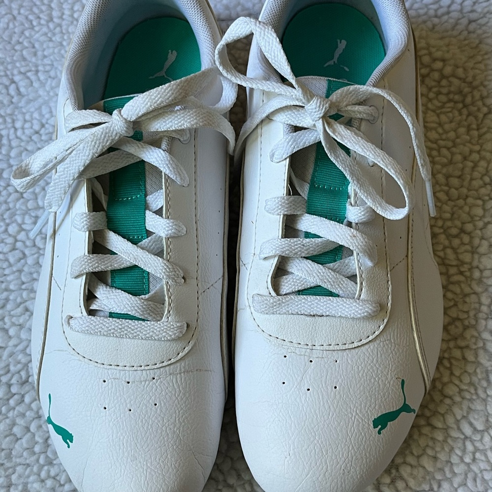 Puma sneakers for men